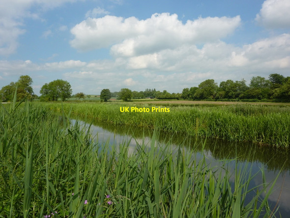 Photo 6"x4" Canal scene in early summer Retford c2010