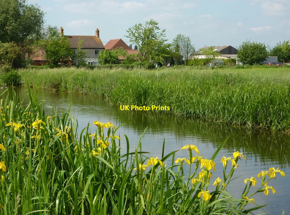 Photo 6"x4" By the canal near Bonemill Farm Retford c2010