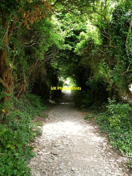 Photo 6"x4" Gora Lane, Woolacombe Woolacombe c2010