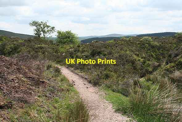 Photo 6"x4" North Bovey: near Bennett's Cross Heathercombe c2010
