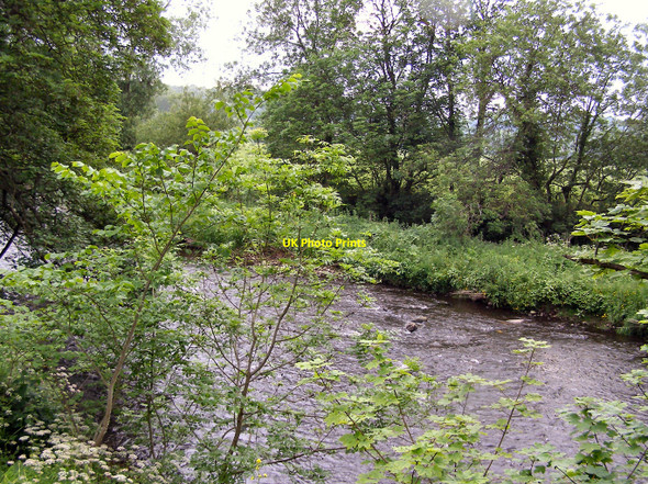 Photo 6"x4" River Goyt from Otterspool View Romiley c2010