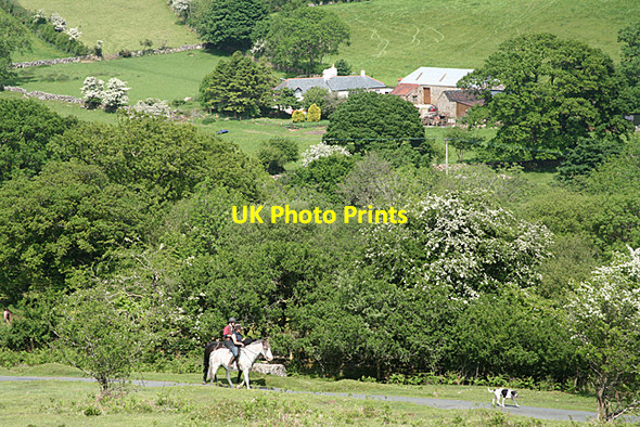 Photo 6"x4" Widecombe in the Moor: above Shallowford Higher Dunstone c2010