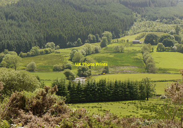 Photo 6"x4" The Wye valley below Ty-mawr Llanifyny c2010