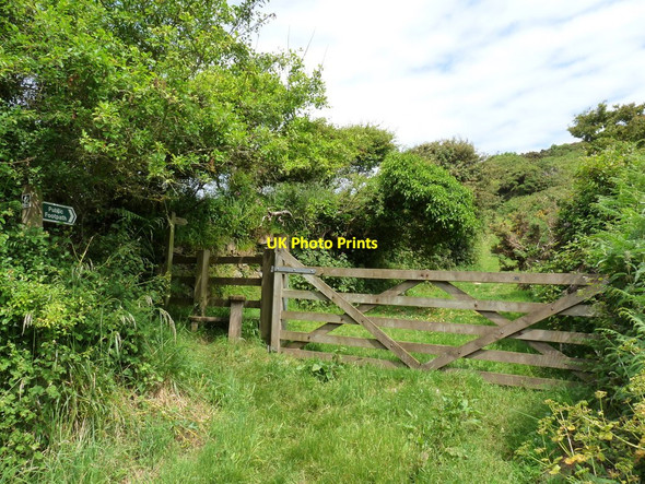 Photo 6"x4" A Footpath leading away from Challacombe Hill Woolacombe c2010