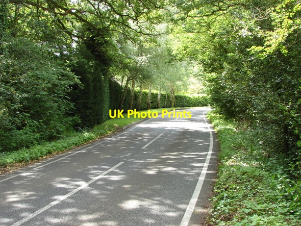 Photo 6"x4" Old Chertsey Road, Chobham Mimbridge c2010
