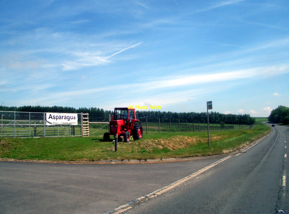 Photo 6"x4" Asparagus Tractor Marsh Gate\/SU3268 c2010