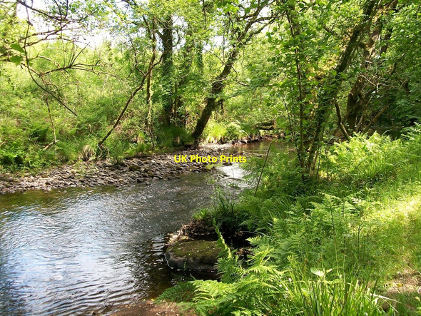 Photo 6"x4" A quiet stretch of Afon Dwyfach Rhosgyll c2010