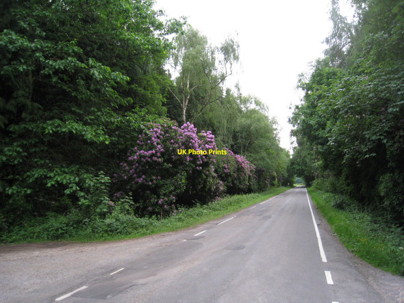 Photo 6"x4" Stapleford Lane Coddington\/SK8354 c2010
