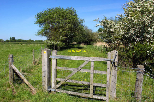Photo 6"x4" Gate on the Thames Path Wolvercote c2010