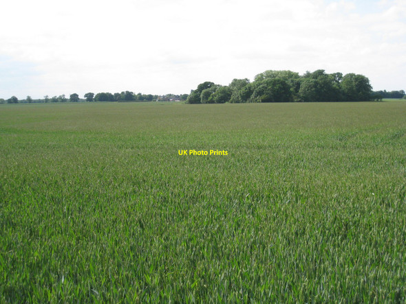 Photo 6"x4" Fox Covert and Manor Farm Beckingham\/SK8753 c2010