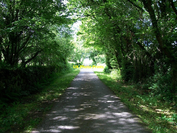Photo 6"x4" The Trefan Hall Driveway Criccieth c2010