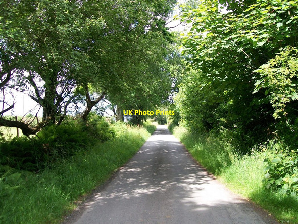 Photo 6"x4" The road west towards Llanystumdwy Criccieth c2010