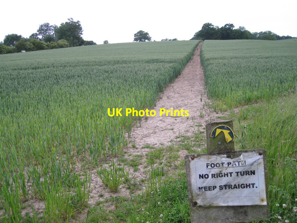 Photo 6"x4" A clearly marked path Kingswood\/SP1871 c2010