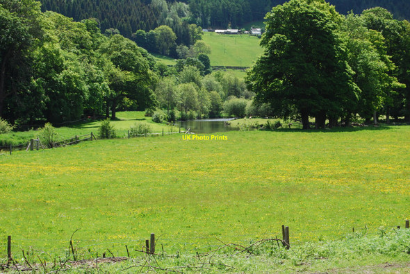 Photo 6"x4" Afon Dyfrdwy Dyffryn Llandderfel c2010