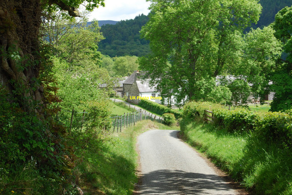 Photo 6"x4" Lane back towards Dol-y-gadfa Llandderfel c2010