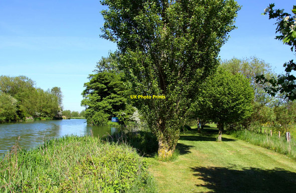 Photo 6"x4" The Thames Path near Kings Lock Wolvercote c2010