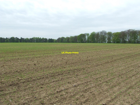 Photo 6"x4" Open Fields Thetford\/TL8783 c2010