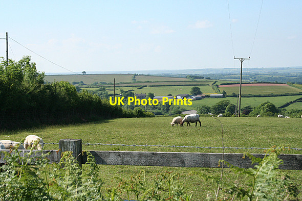 Photo 6"x4" Stoodleigh: towards Lower Rifton Loxbeare c2010