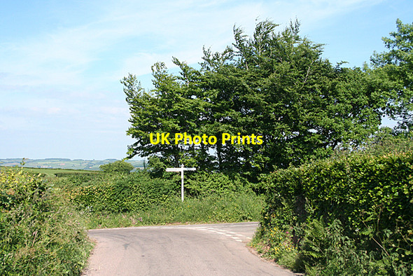 Photo 6"x4" Washfield: Haydon Cross Loxbeare c2010
