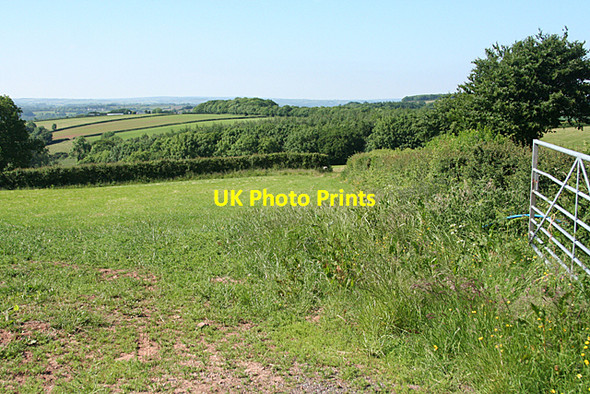 Photo 6"x4" Washfield: by Haydon Cross Loxbeare c2010