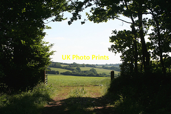 Photo 6"x4" Stoodleigh: near West End Cross Stoodleigh\/SS9218 c2010