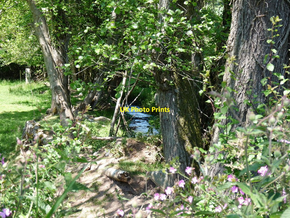 Photo 6"x4" A stream near Wood Lane which eventually joins the River Caen at Heddon Mills Nethercott\/SS4839 c2010