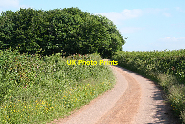 Photo 6"x4" Stoodleigh: approaching West End Cross Stoodleigh\/SS9218 c2010