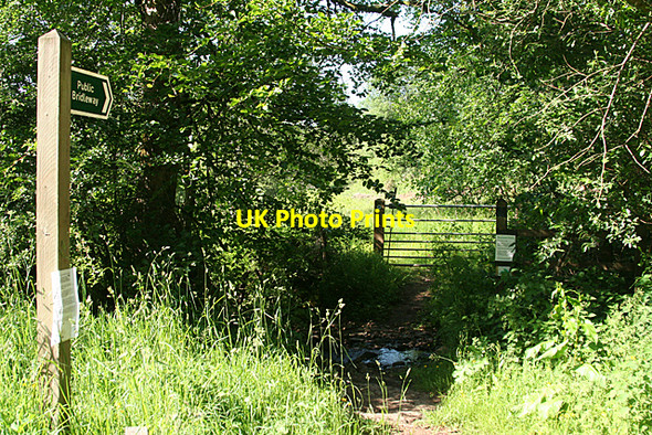 Photo 6"x4" Stoodleigh: bridleway to Ash Stoodleigh\/SS9218 c2010