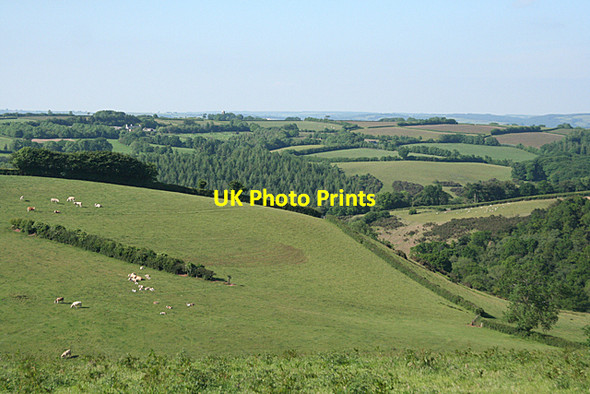Photo 6"x4" Stoodleigh: above Coleford Bottom Oakford\/SS9021 c2010