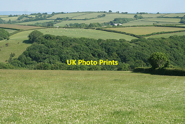 Photo 6"x4" Stoodleigh: above Rifton Wood Rackenford c2010