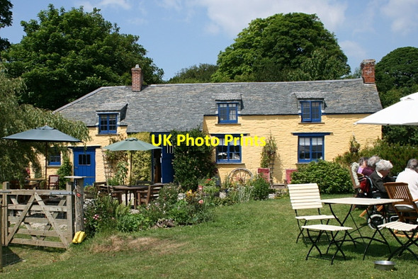 Photo 6"x4" Halwyn Tea Gardens Coombe\/SW8340 c2010