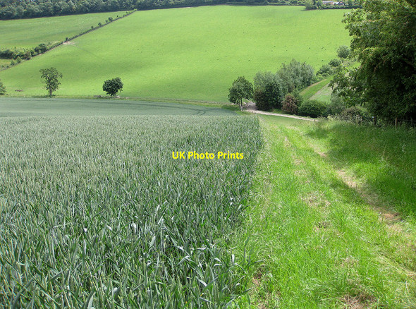 Photo 6"x4" Looking into a green valley Sollers Hope c2010