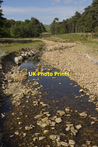 Photo 6"x4" The Marshaw Wyre Tarnbrook c2010