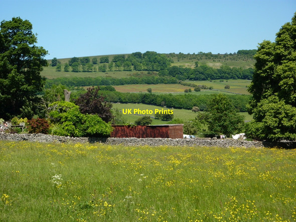Photo 6"x4" Meadow near Monsal Head Little Longstone c2010
