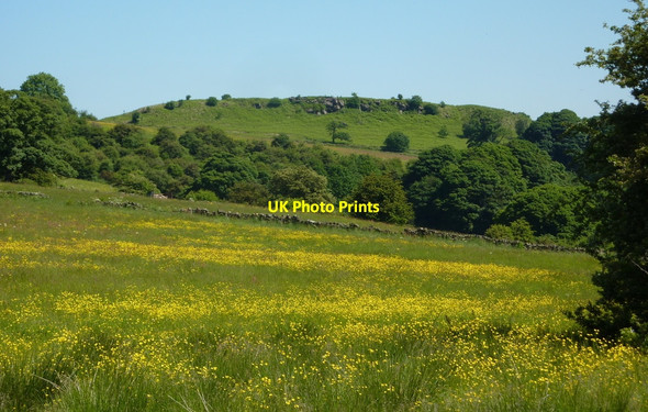 Photo 6"x4" Meadow north of Elton Dale End\/SK2161 c2010