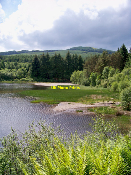 Photo 6"x4" Dunoon Reservoir And Surrounding Forestry Dunoon c2010