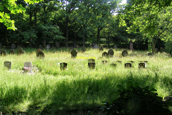 Photo 6"x4" Ogden Burial Ground Rough Bank\/SD9412 c2010