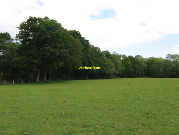 Photo 6"x4" Field surrounded by Tugley Wood Highstreet Green\/SU9835 c2010