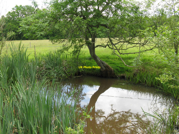 Photo 6"x4" Small pond south of Downlands Fisherstreet c2010