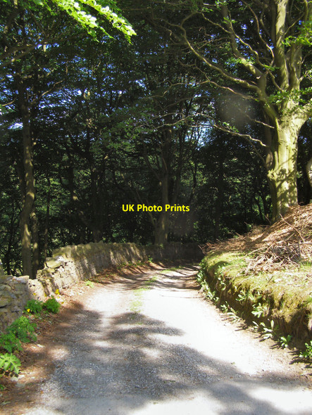 Photo 6"x4" Path To Lower Ogden Haugh\/SD9411 c2010