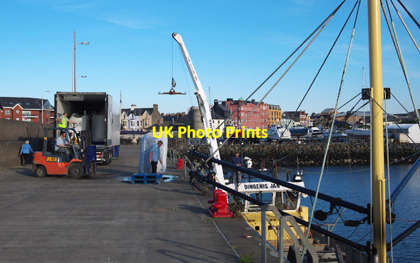 Photo 6"x4" Landing mussels at Bangor Bangor\/J5081 c2010