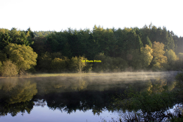 Photo 6"x4" Trentabank Reservoir, Macclesfield Macclesfield Forest c2009
