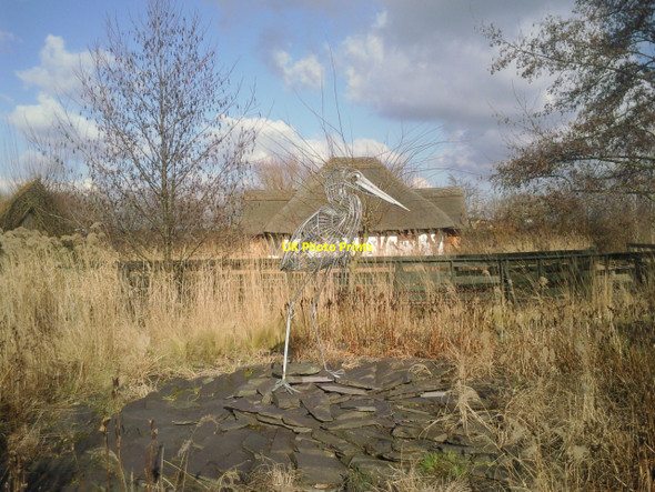 Photo 6"x4" Recycled bird at the London Wetland Centre Barnes c2010