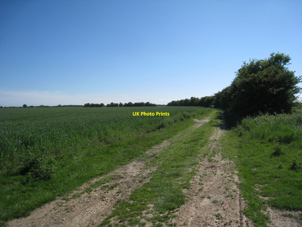 Photo 6"x4" Track across Orby marsh Habertoft c2010