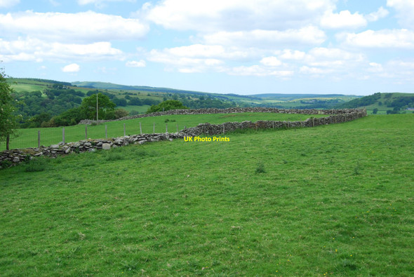 Photo 6"x4" Upland grazing with dykes and fences Bettws Gwerfil Goch c2010