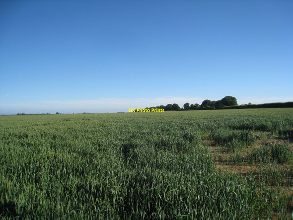 Photo 6"x4" On the Meridian looking south Ruckland c2010