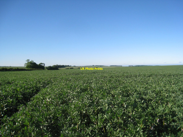 Photo 6"x4" On the Meridian looking north Maidenwell\/TF3279 c2010