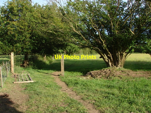 Photo 6"x4" Footpath, Pirbright Pirbright c2010