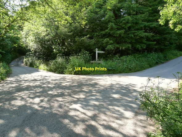 Photo 6"x4" The road through Buckland Down passes the driveway to Spreacombe Manor (right) Nethercott\/SS4839 c2010