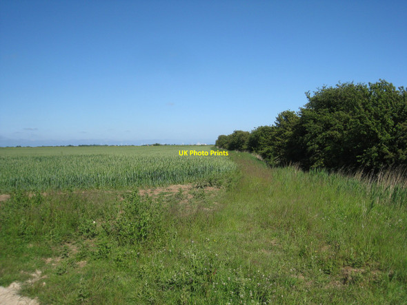 Photo 6"x4" Field edge, Wyche Habertoft c2010